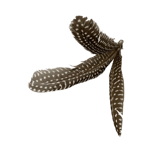 guinea fowl feathers